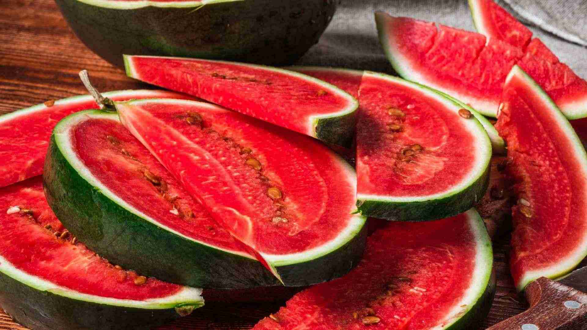 gato come sandia